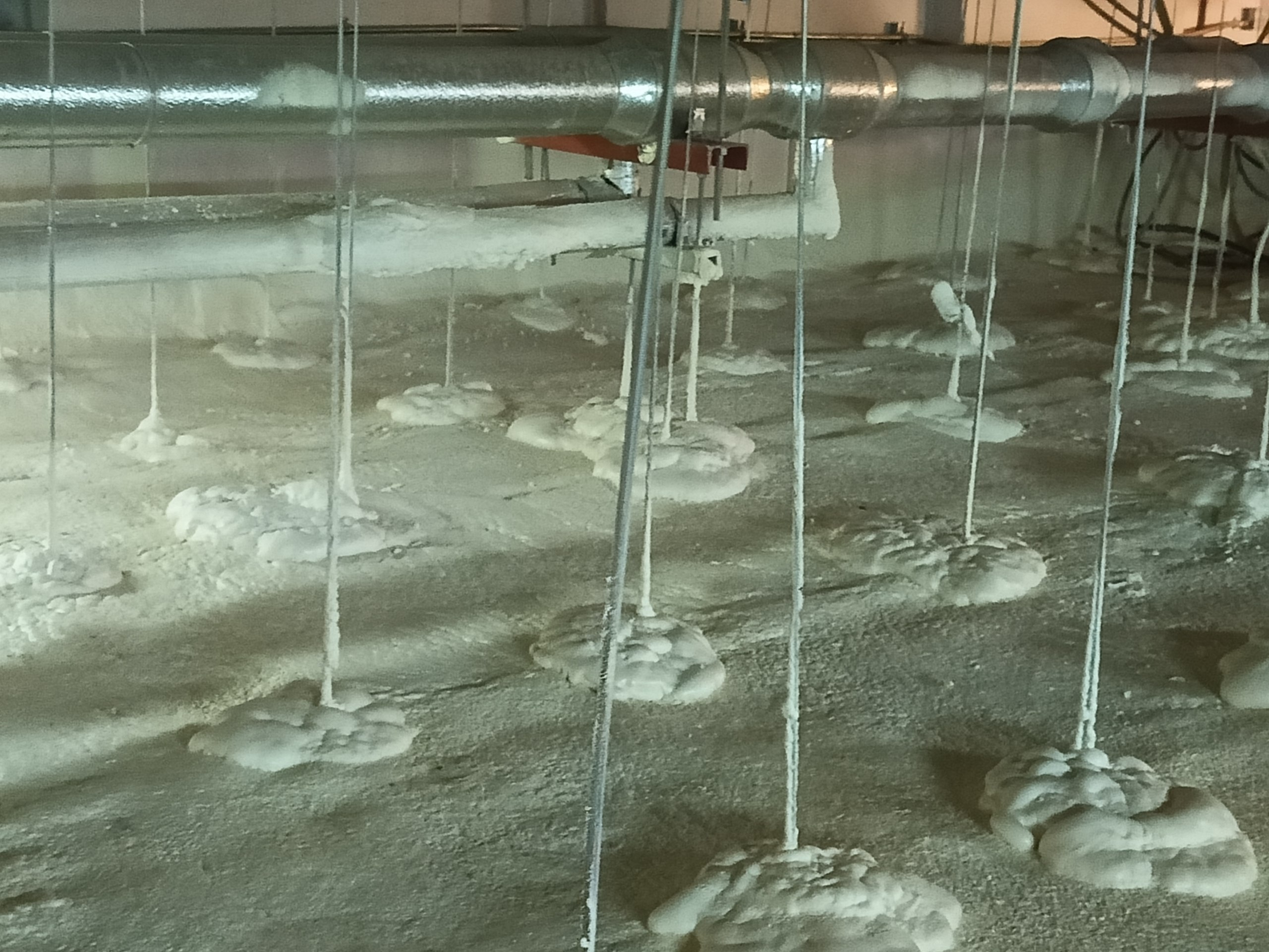 Spray Polyurethane Foam on Ceiling