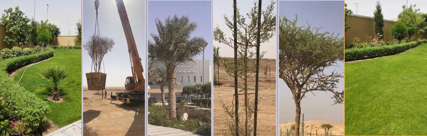 Landscaping & Outdoor Development Hero