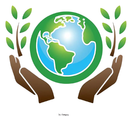 Innovating Sustainability in Construction